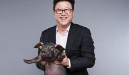 丁磊爆料徐波视频,视频曝光惊人真相