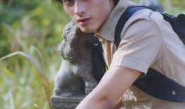 陈龙张龄之圈内爆料,揭秘娱乐圈背后的真实故事